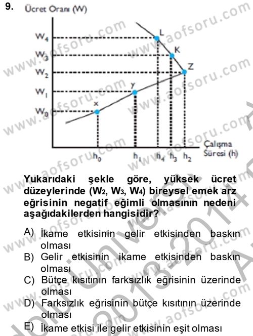 Çalışma Ekonomisi Dersi 2013 - 2014 Yılı (Vize) Ara Sınav Soruları 9. Soru