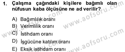 Çalışma Ekonomisi Dersi 2013 - 2014 Yılı (Final) Dönem Sonu Sınav Soruları 1. Soru