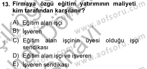 Çalışma Ekonomisi Dersi 2013 - 2014 Yılı (Final) Dönem Sonu Sınav Soruları 13. Soru