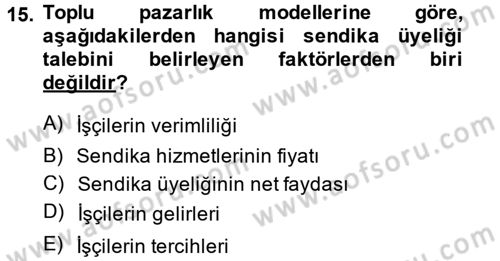 Çalışma Ekonomisi Dersi 2013 - 2014 Yılı (Final) Dönem Sonu Sınav Soruları 15. Soru