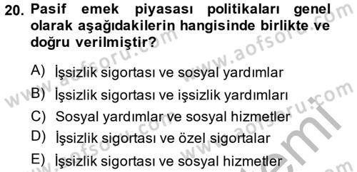 Çalışma Ekonomisi Dersi 2013 - 2014 Yılı (Final) Dönem Sonu Sınav Soruları 20. Soru
