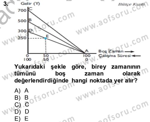 Çalışma Ekonomisi Dersi 2013 - 2014 Yılı (Final) Dönem Sonu Sınav Soruları 3. Soru