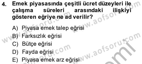 Çalışma Ekonomisi Dersi 2013 - 2014 Yılı (Final) Dönem Sonu Sınav Soruları 4. Soru