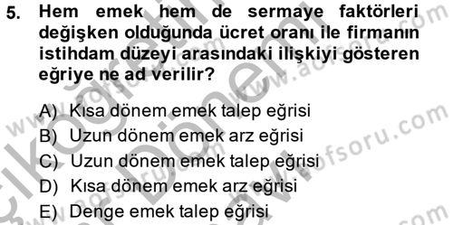 Çalışma Ekonomisi Dersi 2013 - 2014 Yılı (Final) Dönem Sonu Sınav Soruları 5. Soru