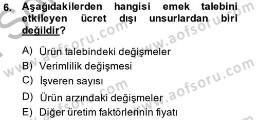 Çalışma Ekonomisi Dersi 2013 - 2014 Yılı (Final) Dönem Sonu Sınav Soruları 6. Soru