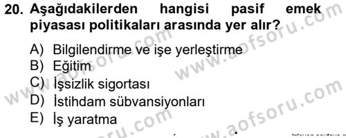 Çalışma Ekonomisi Dersi 2013 - 2014 Yılı Tek Ders Sınavı 20. Soru