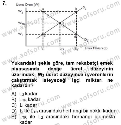 Çalışma Ekonomisi Dersi 2013 - 2014 Yılı Tek Ders Sınavı 7. Soru