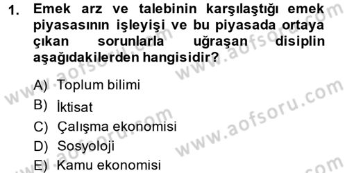Çalışma Ekonomisi Dersi 2014 - 2015 Yılı (Vize) Ara Sınav Soruları 1. Soru