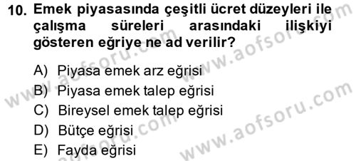 Çalışma Ekonomisi Dersi 2014 - 2015 Yılı (Vize) Ara Sınav Soruları 10. Soru