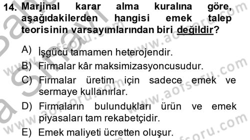 Çalışma Ekonomisi Dersi 2014 - 2015 Yılı (Vize) Ara Sınav Soruları 14. Soru