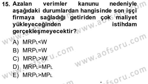 Çalışma Ekonomisi Dersi 2014 - 2015 Yılı (Vize) Ara Sınav Soruları 15. Soru