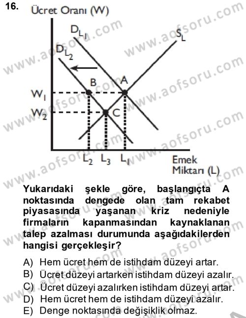 Çalışma Ekonomisi Dersi 2014 - 2015 Yılı (Vize) Ara Sınav Soruları 16. Soru
