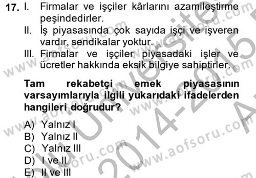 Çalışma Ekonomisi Dersi 2014 - 2015 Yılı (Vize) Ara Sınav Soruları 17. Soru