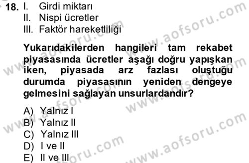 Çalışma Ekonomisi Dersi 2014 - 2015 Yılı (Vize) Ara Sınav Soruları 18. Soru