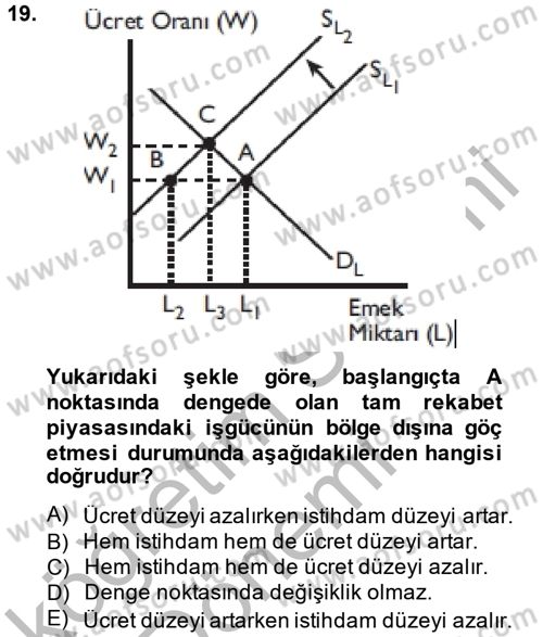 Çalışma Ekonomisi Dersi 2014 - 2015 Yılı (Vize) Ara Sınav Soruları 19. Soru