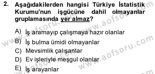Çalışma Ekonomisi Dersi 2014 - 2015 Yılı (Vize) Ara Sınav Soruları 2. Soru