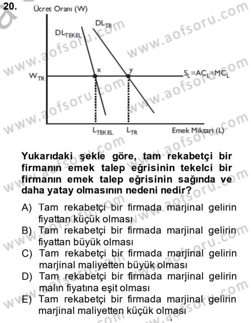 Çalışma Ekonomisi Dersi 2014 - 2015 Yılı (Vize) Ara Sınav Soruları 20. Soru