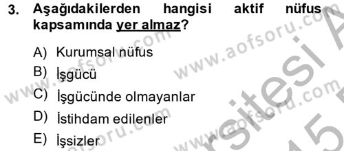 Çalışma Ekonomisi Dersi 2014 - 2015 Yılı (Vize) Ara Sınav Soruları 3. Soru