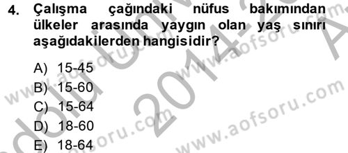 Çalışma Ekonomisi Dersi 2014 - 2015 Yılı (Vize) Ara Sınav Soruları 4. Soru
