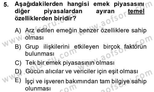 Çalışma Ekonomisi Dersi 2014 - 2015 Yılı (Vize) Ara Sınav Soruları 5. Soru