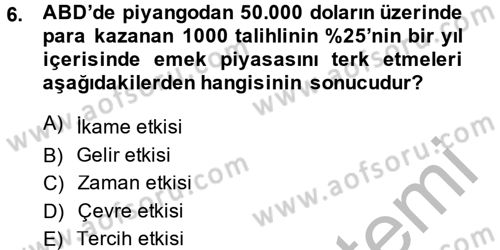 Çalışma Ekonomisi Dersi 2014 - 2015 Yılı (Vize) Ara Sınav Soruları 6. Soru