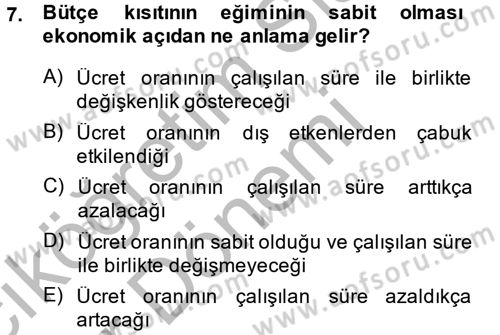 Çalışma Ekonomisi Dersi 2014 - 2015 Yılı (Vize) Ara Sınav Soruları 7. Soru