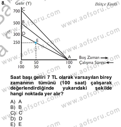 Çalışma Ekonomisi Dersi 2014 - 2015 Yılı (Vize) Ara Sınav Soruları 8. Soru