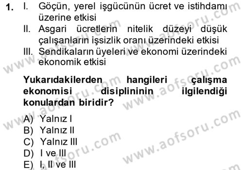 Çalışma Ekonomisi Dersi 2014 - 2015 Yılı (Final) Dönem Sonu Sınav Soruları 1. Soru