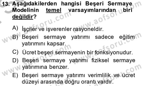 Çalışma Ekonomisi Dersi 2014 - 2015 Yılı (Final) Dönem Sonu Sınav Soruları 13. Soru