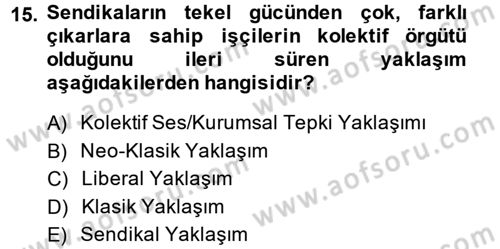 Çalışma Ekonomisi Dersi 2014 - 2015 Yılı (Final) Dönem Sonu Sınav Soruları 15. Soru
