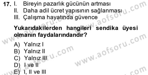 Çalışma Ekonomisi Dersi 2014 - 2015 Yılı (Final) Dönem Sonu Sınav Soruları 17. Soru