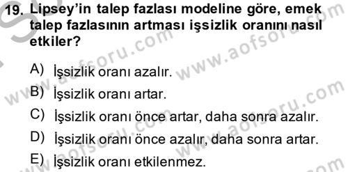 Çalışma Ekonomisi Dersi 2014 - 2015 Yılı (Final) Dönem Sonu Sınav Soruları 19. Soru