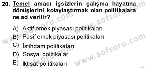 Çalışma Ekonomisi Dersi 2014 - 2015 Yılı (Final) Dönem Sonu Sınav Soruları 20. Soru
