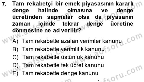 Çalışma Ekonomisi Dersi 2014 - 2015 Yılı (Final) Dönem Sonu Sınav Soruları 7. Soru