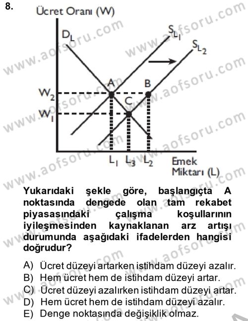 Çalışma Ekonomisi Dersi 2014 - 2015 Yılı (Final) Dönem Sonu Sınav Soruları 8. Soru