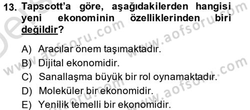 Çalışma Ekonomisi Dersi 2014 - 2015 Yılı Tek Ders Sınavı 13. Soru