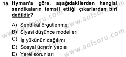 Çalışma Ekonomisi Dersi 2014 - 2015 Yılı Tek Ders Sınavı 15. Soru