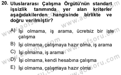 Çalışma Ekonomisi Dersi 2014 - 2015 Yılı Tek Ders Sınavı 20. Soru