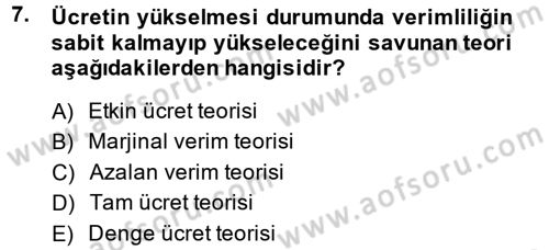 Çalışma Ekonomisi Dersi 2014 - 2015 Yılı Tek Ders Sınavı 7. Soru