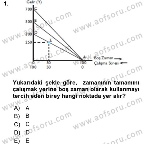 Çalışma Ekonomisi Dersi 2015 - 2016 Yılı (Vize) Ara Sınav Soruları 1. Soru