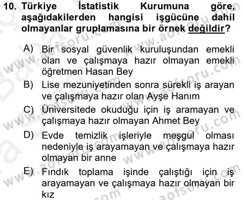 Çalışma Ekonomisi Dersi 2015 - 2016 Yılı (Vize) Ara Sınav Soruları 10. Soru