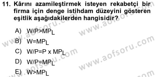 Çalışma Ekonomisi Dersi 2015 - 2016 Yılı (Vize) Ara Sınav Soruları 11. Soru