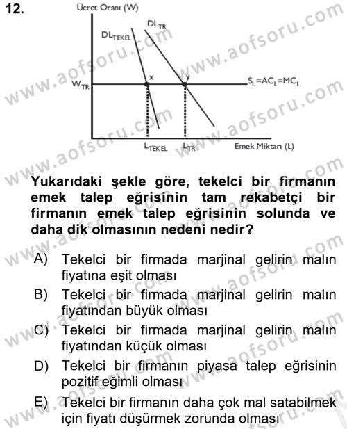 Çalışma Ekonomisi Dersi 2015 - 2016 Yılı (Vize) Ara Sınav Soruları 12. Soru