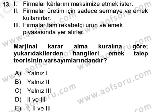 Çalışma Ekonomisi Dersi 2015 - 2016 Yılı (Vize) Ara Sınav Soruları 13. Soru