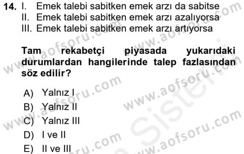 Çalışma Ekonomisi Dersi 2015 - 2016 Yılı (Vize) Ara Sınav Soruları 14. Soru