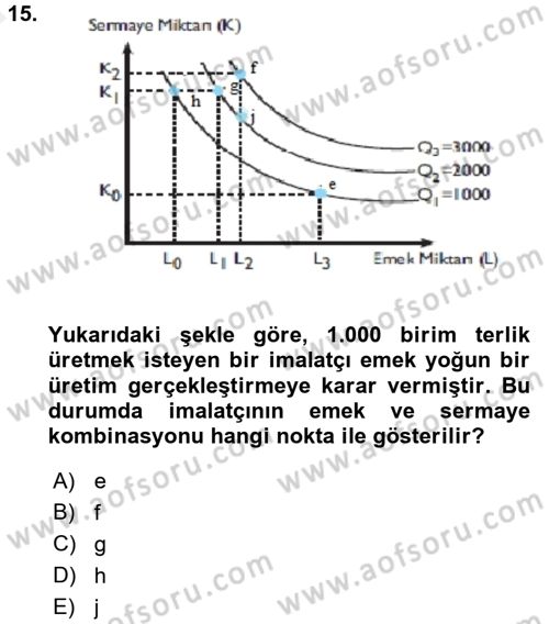 Çalışma Ekonomisi Dersi 2015 - 2016 Yılı (Vize) Ara Sınav Soruları 15. Soru