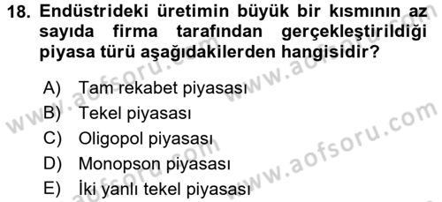 Çalışma Ekonomisi Dersi 2015 - 2016 Yılı (Vize) Ara Sınav Soruları 18. Soru