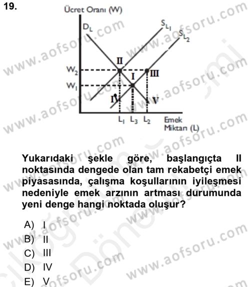 Çalışma Ekonomisi Dersi 2015 - 2016 Yılı (Vize) Ara Sınav Soruları 19. Soru