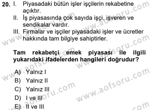 Çalışma Ekonomisi Dersi 2015 - 2016 Yılı (Vize) Ara Sınav Soruları 20. Soru