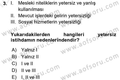 Çalışma Ekonomisi Dersi 2015 - 2016 Yılı (Vize) Ara Sınav Soruları 3. Soru